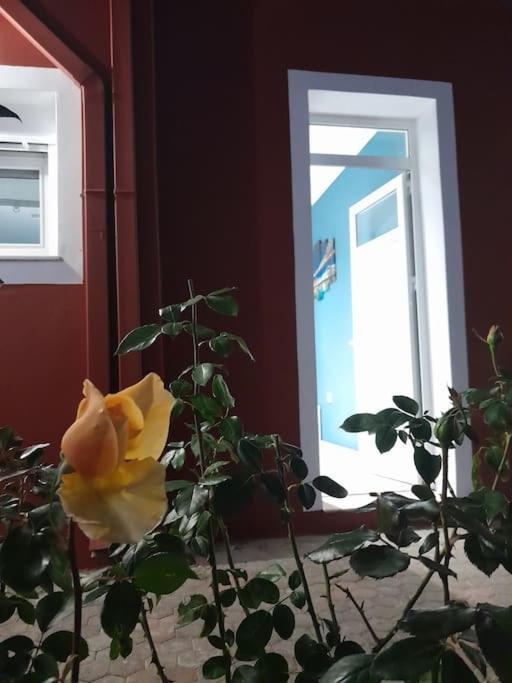 Salavantes House Appartement